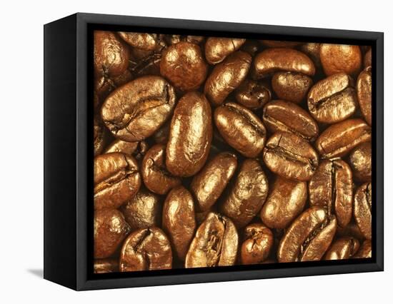 Beaned-Nathan Griffith-Framed Premier Image Canvas