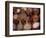 Beans and Grain at Market in Campo de' Fiori, Rome, Italy-Merrill Images-Framed Photographic Print