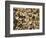 Beans Displayed in Market, Cuzco, Peru-Merrill Images-Framed Photographic Print