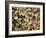 Beans Displayed in Market, Cuzco, Peru-Merrill Images-Framed Photographic Print