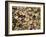 Beans Displayed in Market, Cuzco, Peru-Merrill Images-Framed Photographic Print