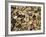 Beans Displayed in Market, Cuzco, Peru-Merrill Images-Framed Photographic Print