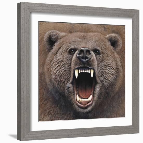 Bear 2-Harro Maass-Framed Giclee Print