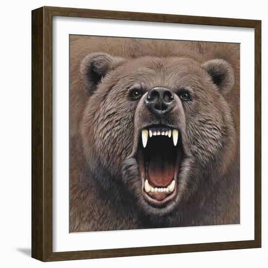 Bear 2-Harro Maass-Framed Giclee Print