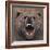 Bear 2-Harro Maass-Framed Giclee Print