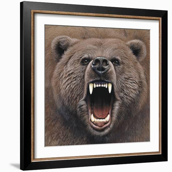 Bear 2-Harro Maass-Framed Giclee Print