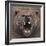 Bear 2-Harro Maass-Framed Giclee Print