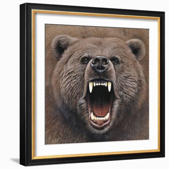 Bear 2-Harro Maass-Framed Giclee Print