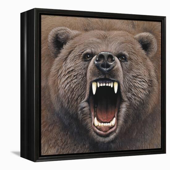 Bear 2-Harro Maass-Framed Premier Image Canvas