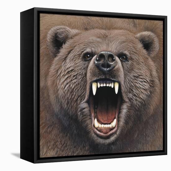 Bear 2-Harro Maass-Framed Premier Image Canvas