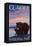 Bear and Cub, Glacier National Park, Montana-Lantern Press-Framed Stretched Canvas