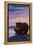 Bear and Cub, West Yellowstone, Montana-Lantern Press-Framed Stretched Canvas