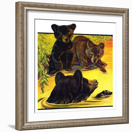 "Bear and Cubs in River,"August 25, 1934-Jack Murray-Framed Giclee Print