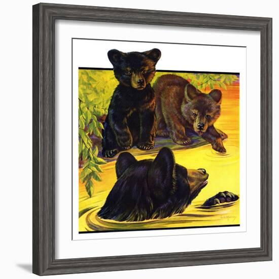 "Bear and Cubs in River,"August 25, 1934-Jack Murray-Framed Giclee Print