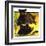 "Bear and Cubs in River,"August 25, 1934-Jack Murray-Framed Giclee Print