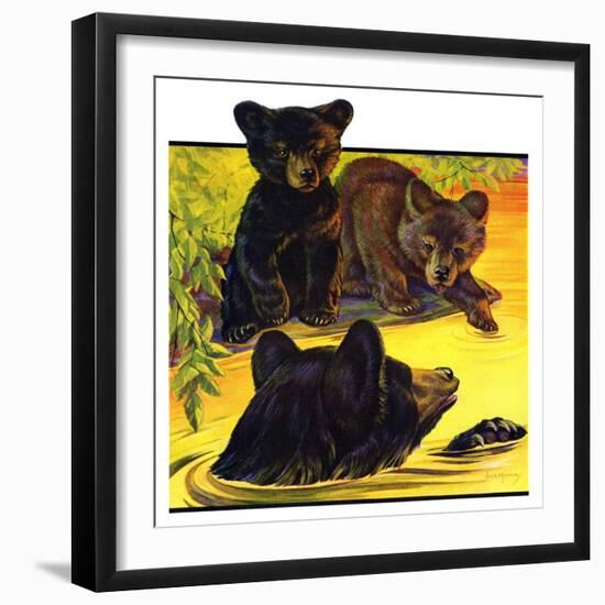 "Bear and Cubs in River,"August 25, 1934-Jack Murray-Framed Giclee Print