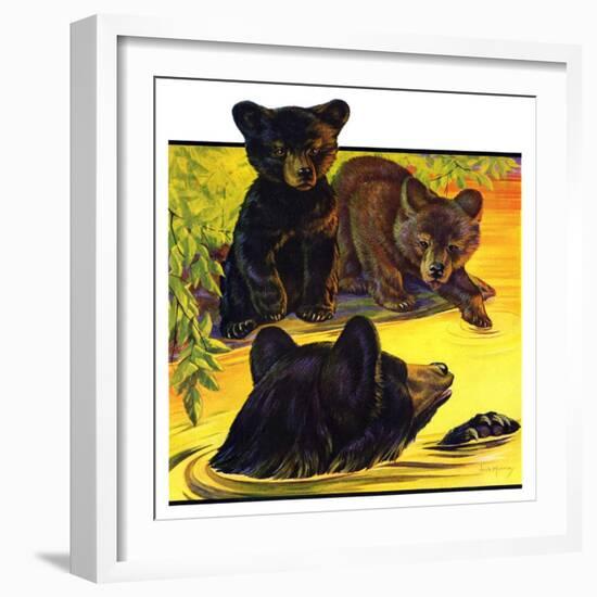 "Bear and Cubs in River,"August 25, 1934-Jack Murray-Framed Giclee Print