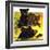 "Bear and Cubs in River,"August 25, 1934-Jack Murray-Framed Giclee Print