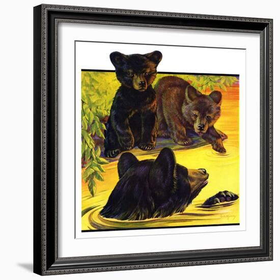 "Bear and Cubs in River,"August 25, 1934-Jack Murray-Framed Giclee Print