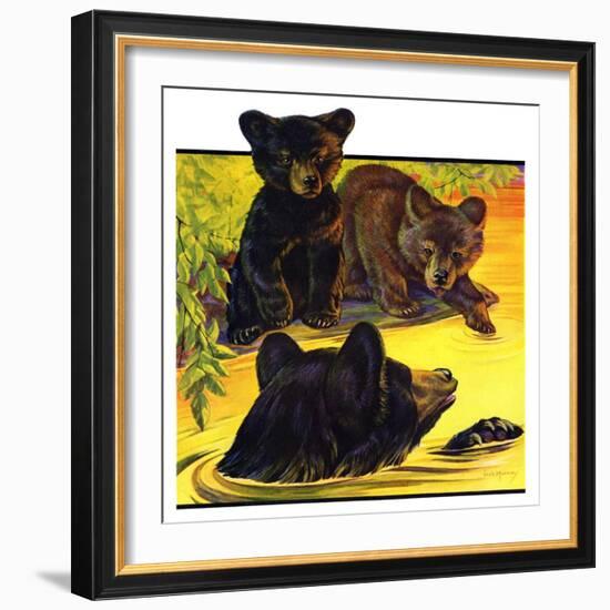 "Bear and Cubs in River,"August 25, 1934-Jack Murray-Framed Giclee Print