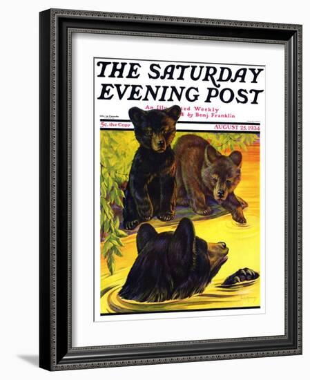 "Bear and Cubs in River," Saturday Evening Post Cover, August 25, 1934-Jack Murray-Framed Giclee Print