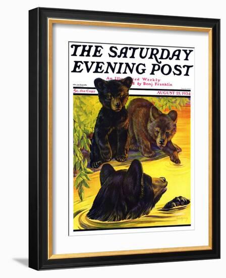 "Bear and Cubs in River," Saturday Evening Post Cover, August 25, 1934-Jack Murray-Framed Giclee Print