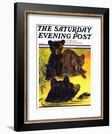 "Bear and Cubs in River," Saturday Evening Post Cover, August 25, 1934-Jack Murray-Framed Giclee Print