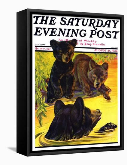 "Bear and Cubs in River," Saturday Evening Post Cover, August 25, 1934-Jack Murray-Framed Premier Image Canvas