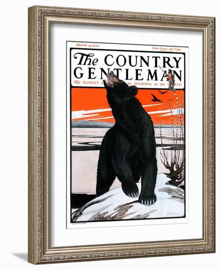 "Bear and Robin Welcome Spring," Country Gentleman Cover, March 14, 1925-Paul Bransom-Framed Giclee Print