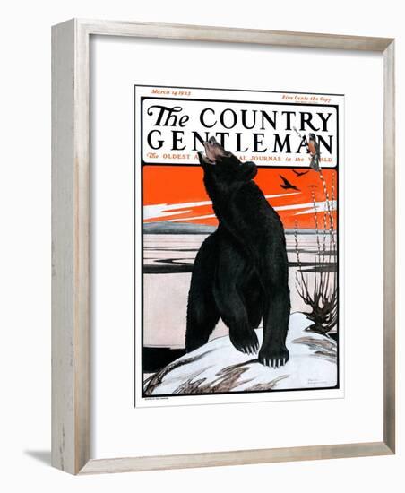 "Bear and Robin Welcome Spring," Country Gentleman Cover, March 14, 1925-Paul Bransom-Framed Giclee Print