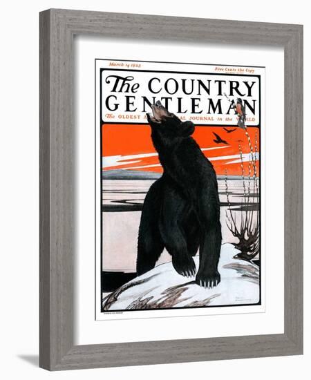 "Bear and Robin Welcome Spring," Country Gentleman Cover, March 14, 1925-Paul Bransom-Framed Giclee Print