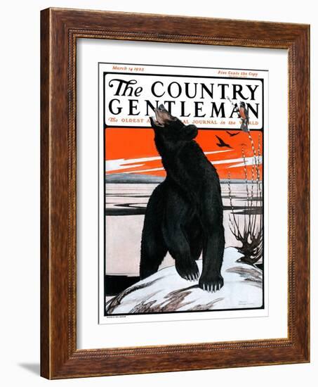 "Bear and Robin Welcome Spring," Country Gentleman Cover, March 14, 1925-Paul Bransom-Framed Giclee Print