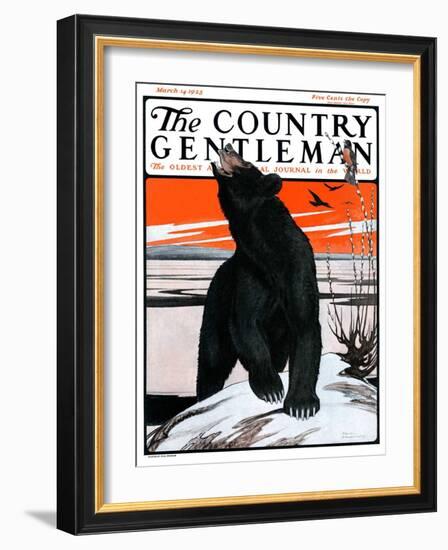 "Bear and Robin Welcome Spring," Country Gentleman Cover, March 14, 1925-Paul Bransom-Framed Giclee Print