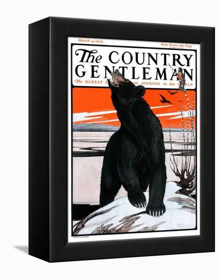 "Bear and Robin Welcome Spring," Country Gentleman Cover, March 14, 1925-Paul Bransom-Framed Premier Image Canvas