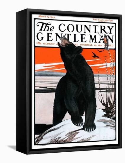 "Bear and Robin Welcome Spring," Country Gentleman Cover, March 14, 1925-Paul Bransom-Framed Premier Image Canvas