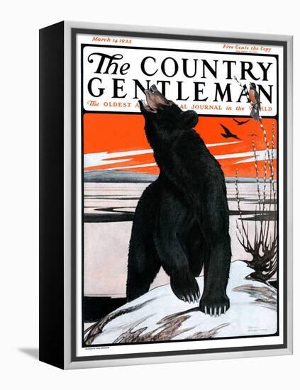 "Bear and Robin Welcome Spring," Country Gentleman Cover, March 14, 1925-Paul Bransom-Framed Premier Image Canvas