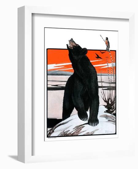 "Bear and Robin Welcome Spring,"March 14, 1925-Paul Bransom-Framed Giclee Print