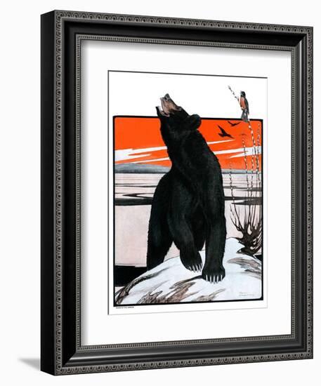 "Bear and Robin Welcome Spring,"March 14, 1925-Paul Bransom-Framed Giclee Print