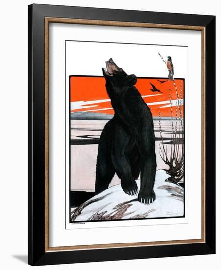 "Bear and Robin Welcome Spring,"March 14, 1925-Paul Bransom-Framed Giclee Print