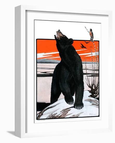 "Bear and Robin Welcome Spring,"March 14, 1925-Paul Bransom-Framed Giclee Print