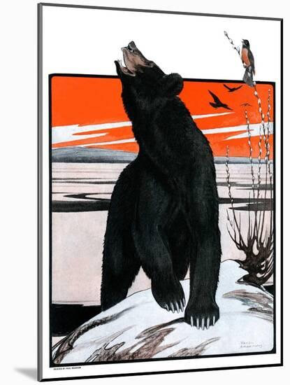 "Bear and Robin Welcome Spring,"March 14, 1925-Paul Bransom-Mounted Giclee Print