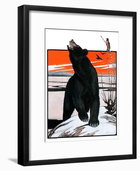 "Bear and Robin Welcome Spring,"March 14, 1925-Paul Bransom-Framed Giclee Print