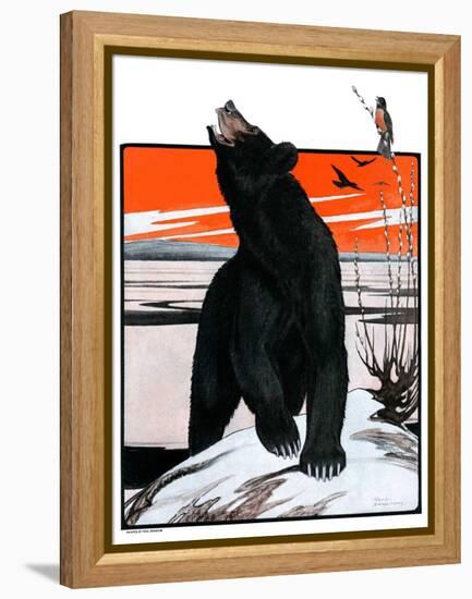 "Bear and Robin Welcome Spring,"March 14, 1925-Paul Bransom-Framed Premier Image Canvas