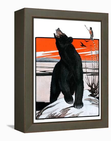 "Bear and Robin Welcome Spring,"March 14, 1925-Paul Bransom-Framed Premier Image Canvas