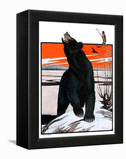 "Bear and Robin Welcome Spring,"March 14, 1925-Paul Bransom-Framed Premier Image Canvas