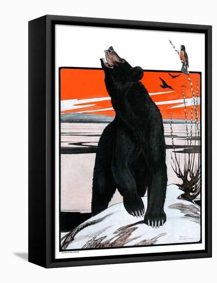 "Bear and Robin Welcome Spring,"March 14, 1925-Paul Bransom-Framed Premier Image Canvas