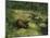 Bear Brakar, 1898-Theodor Severin Kittelsen-Mounted Giclee Print