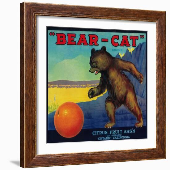 Bear Cat Orange Label - Ontario, CA-Lantern Press-Framed Art Print