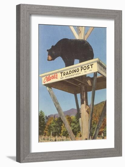 Bear, Clark's Trading Post, Woodstock, New Hampshire-null-Framed Art Print