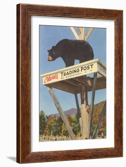 Bear, Clark's Trading Post, Woodstock, New Hampshire-null-Framed Art Print